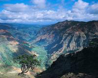 Waimea Canyon